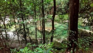 Fazenda Recanto da Serra