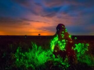 O que fazer no Parque Nacional das Emas