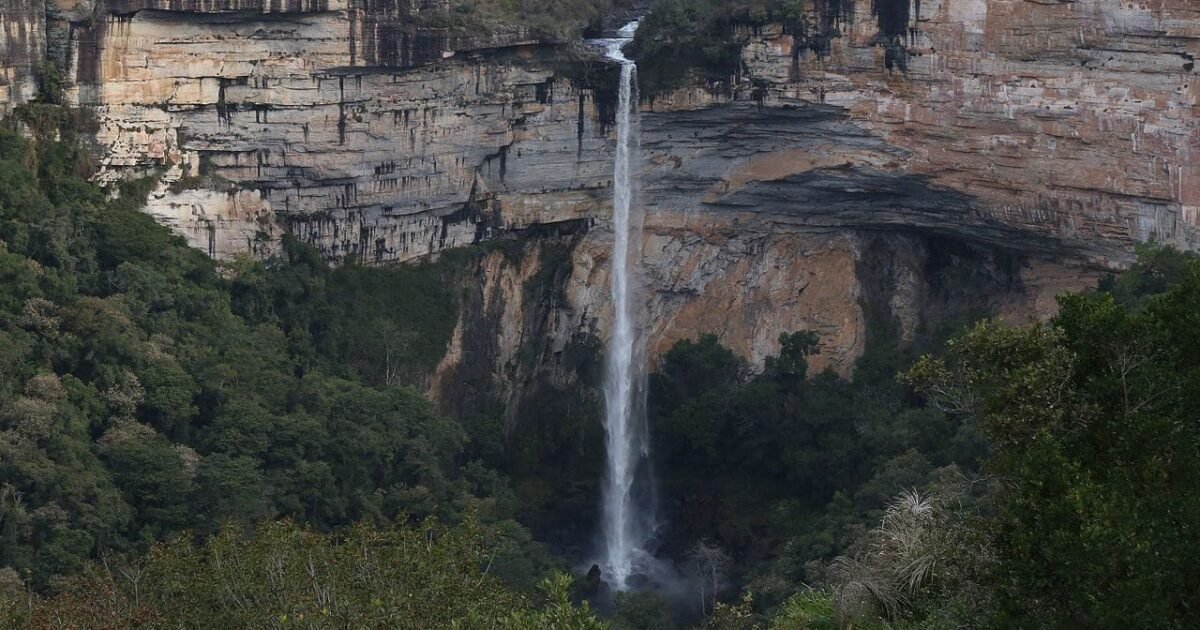 O que Fazer em Senges