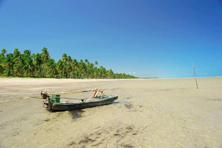O que fazer em Porto de Pedras
