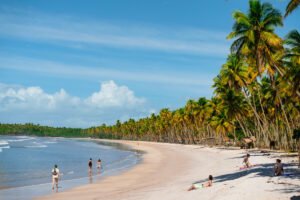 O que fazer em Boipeba.