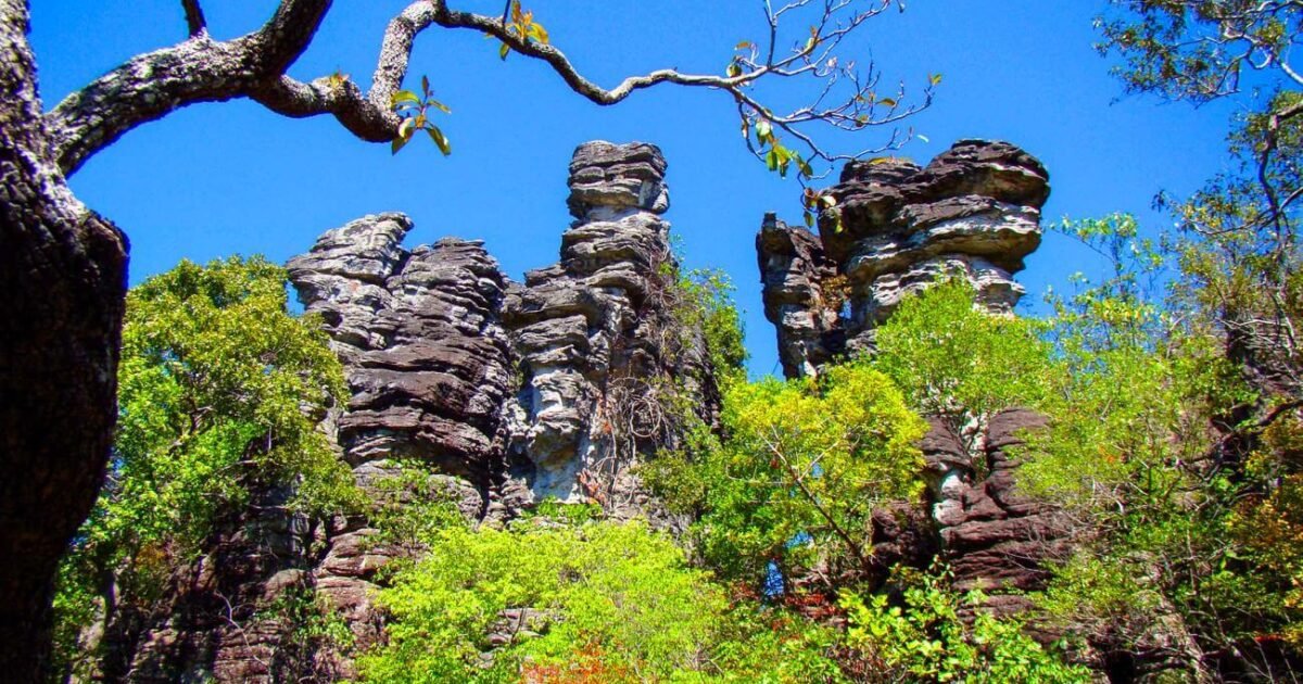 O que fazer na Serra das Andorinhas.