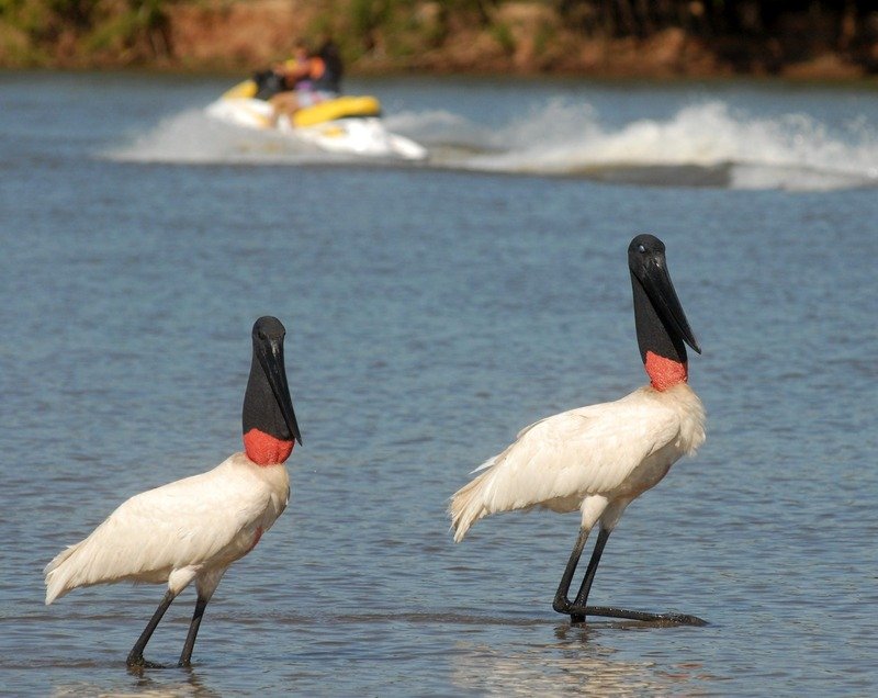 Turismo no Rio Araguaia.