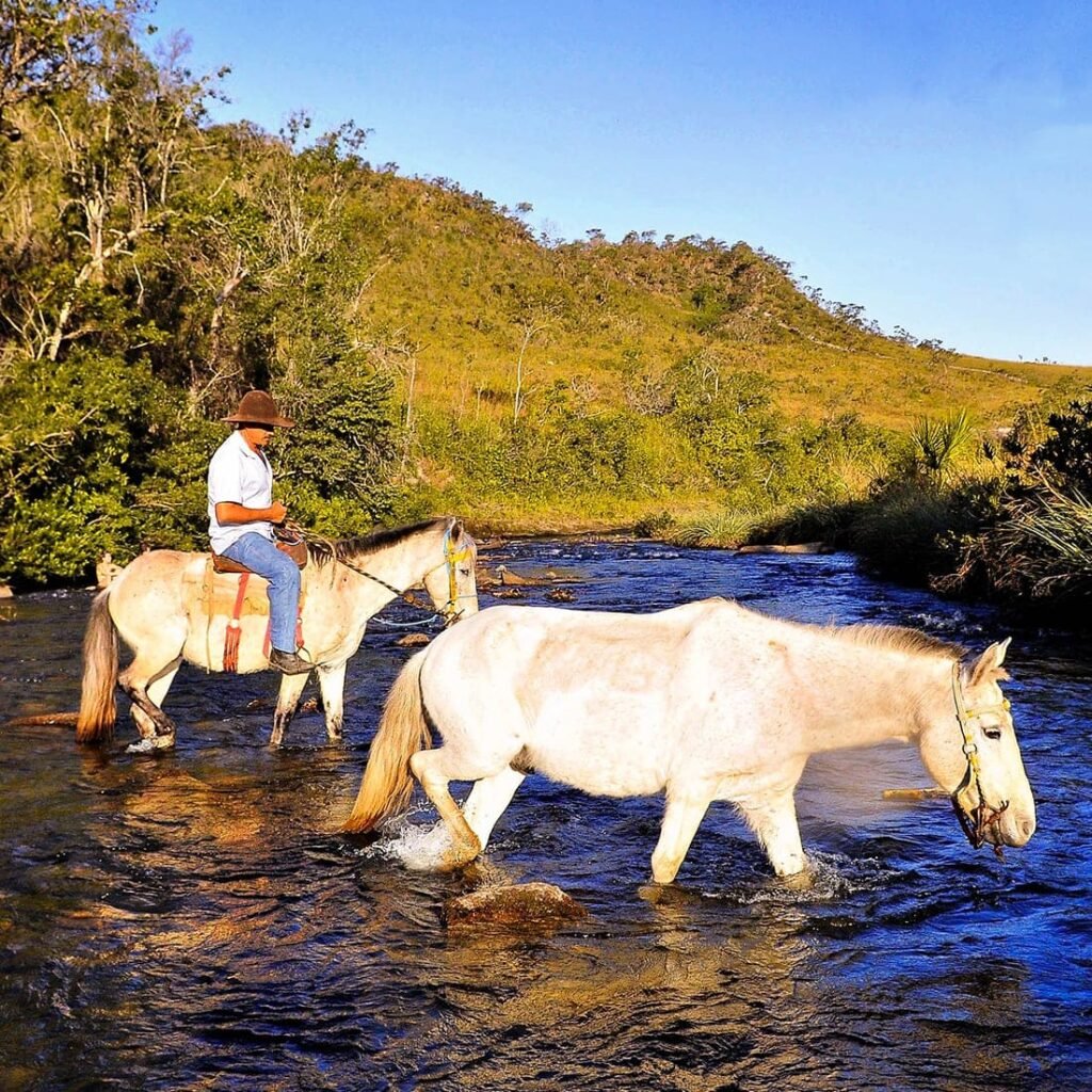 Passeio a cavalo em meio a natureza.