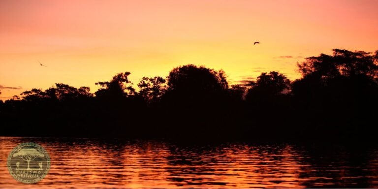 O que fazer em Santa Rita do Araguaia