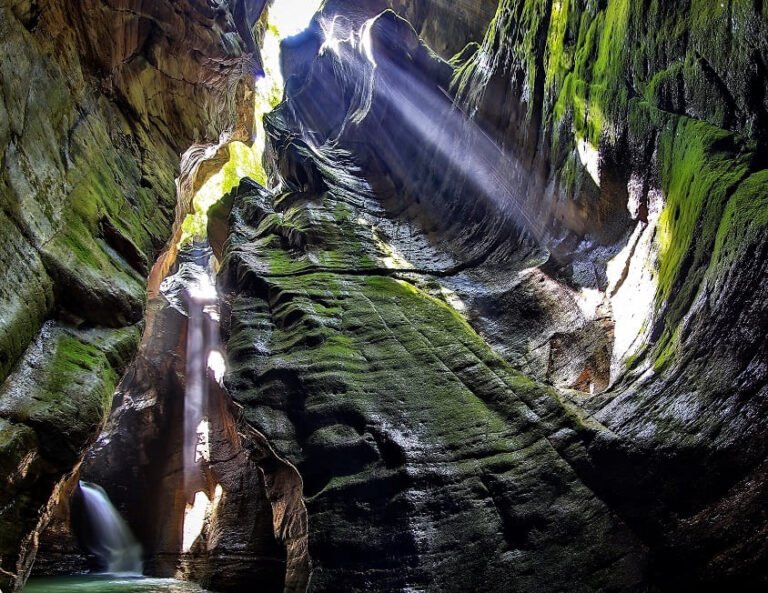 O que fazer em São João d'Aliança