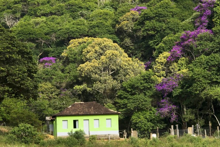 O que fazer em Irupi