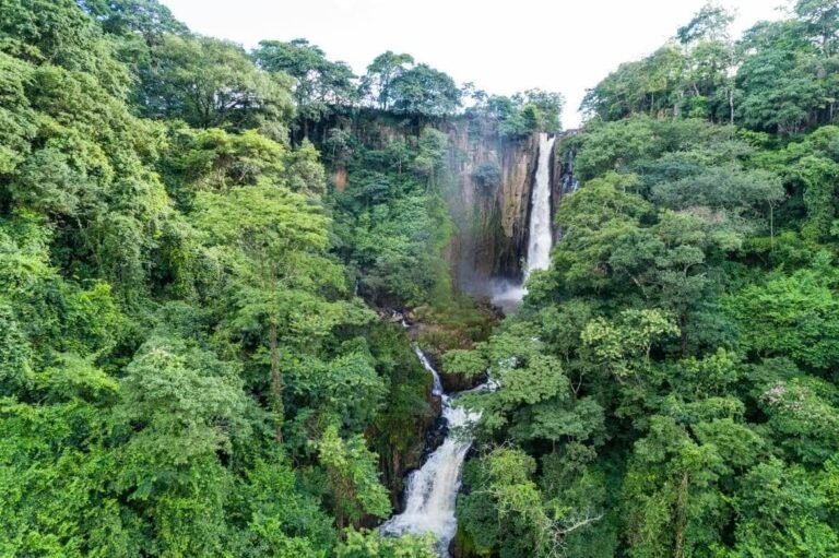 O que fazer em Mineiros