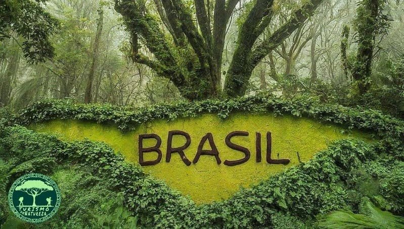 Nature do Brasil