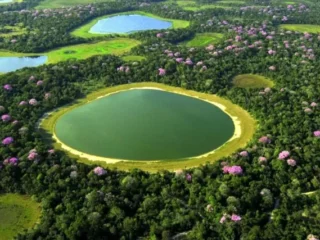Curiosidades sobre o Pantanal.