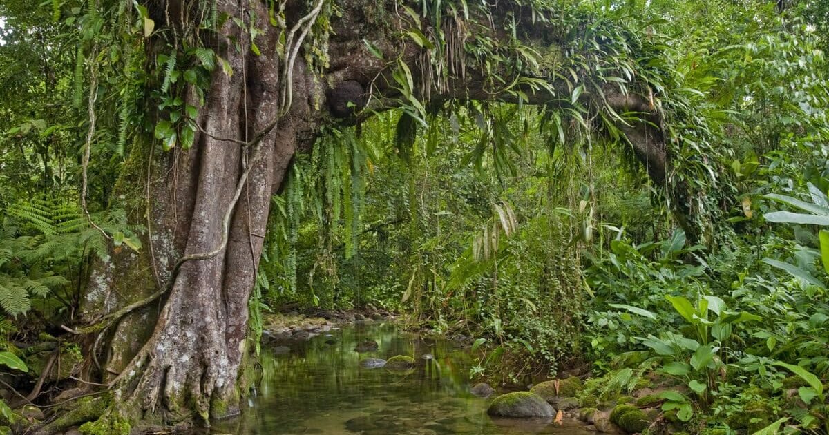 Reserva Natural Salto Morato