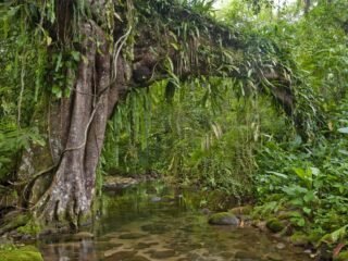 Reserva Natural Salto Morato