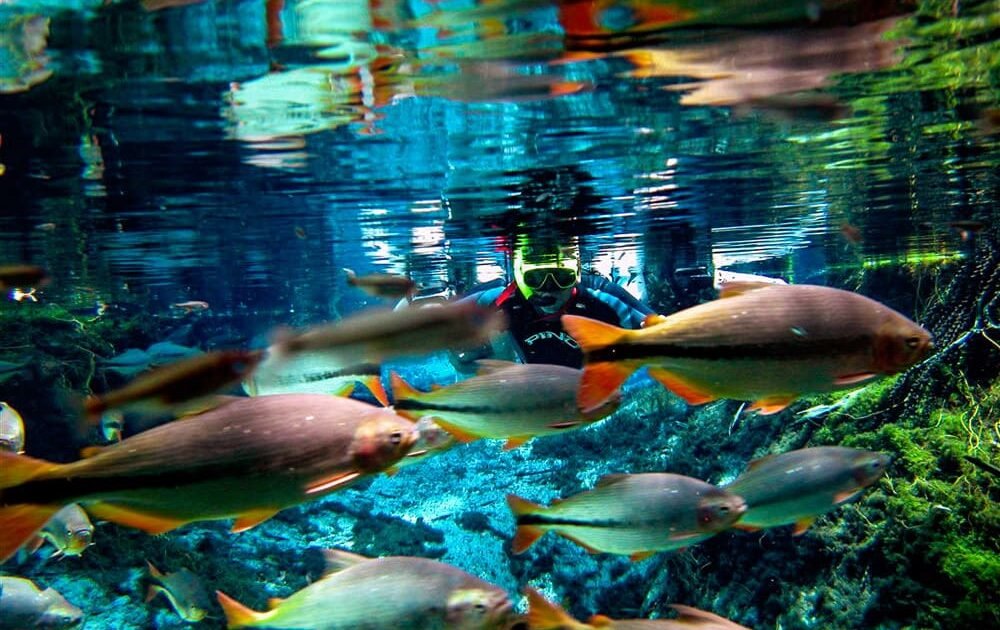 Ecoturismo em Nobres