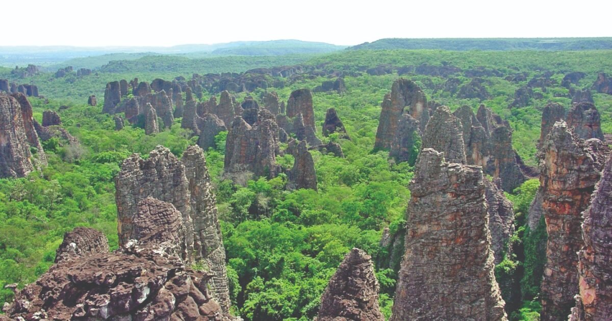 O Que Fazer em Rondonópolis
