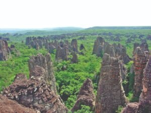 O Que Fazer em Rondonópolis