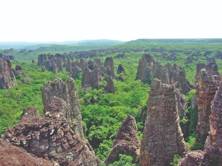 O Que Fazer em Rondonópolis