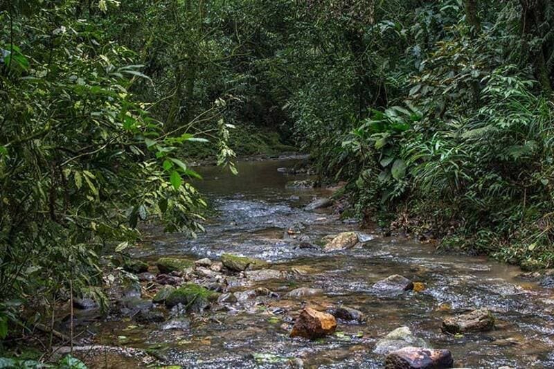 Trilha do Lago.