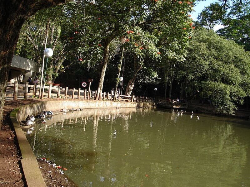 Lago do Parque Jaraguá.
