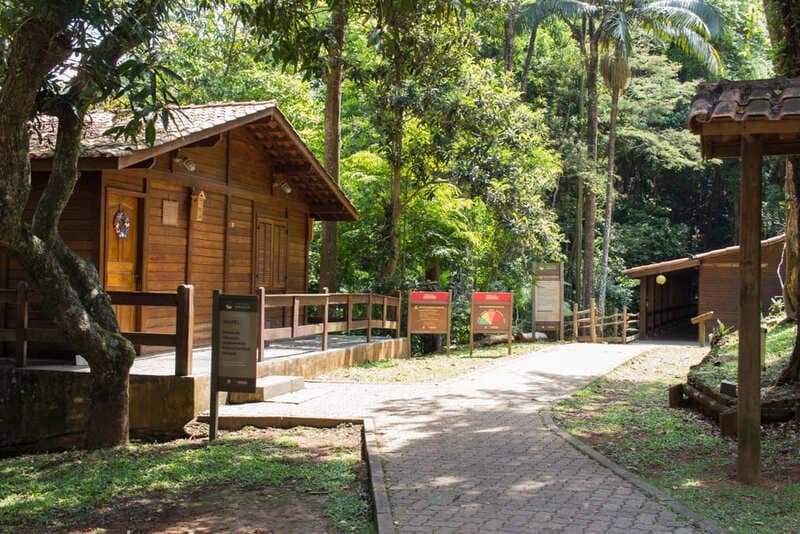Área de Piquenique no Parque Estadual do Pico do Jaraguá.
