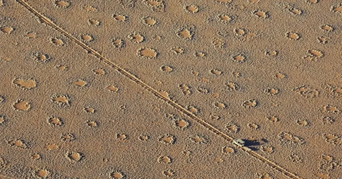 Revelando os Círculos de Fadas na Namíbia