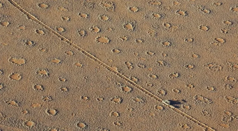 Revelando os Círculos de Fadas na Namíbia