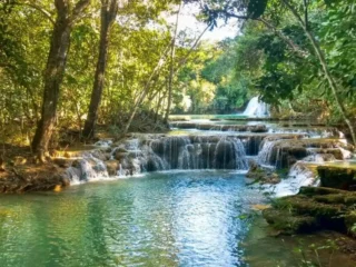 Fascinating Facts About the Cerrado: Discover the secrets of this beautiful biome.