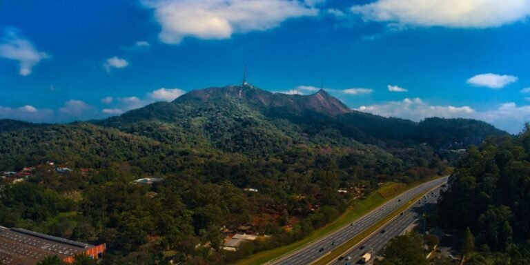 O que Fazer no Pico do Jaraguá: 9 Atividades Imperdíveis para Apreciar a Natureza.
