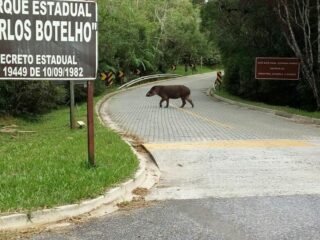 Turismo de natureza e Aventura no Parque Estadual Carlos Botelho