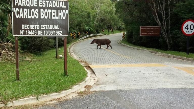 Turismo de natureza e Aventura no Parque Estadual Carlos Botelho