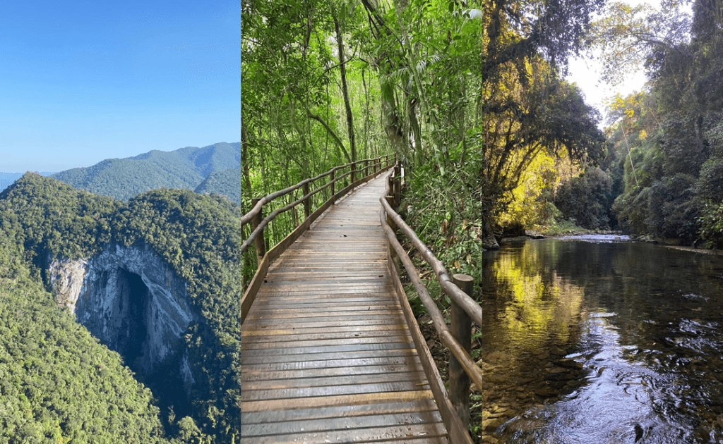 Vale do Ribeira destacando a densa Mata Atlântica e a biodiversidade, com rios serpenteantes e vastas áreas verdes, cavernas.