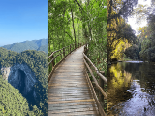 Vale do Ribeira destacando a densa Mata Atlântica e a biodiversidade, com rios serpenteantes e vastas áreas verdes, cavernas.