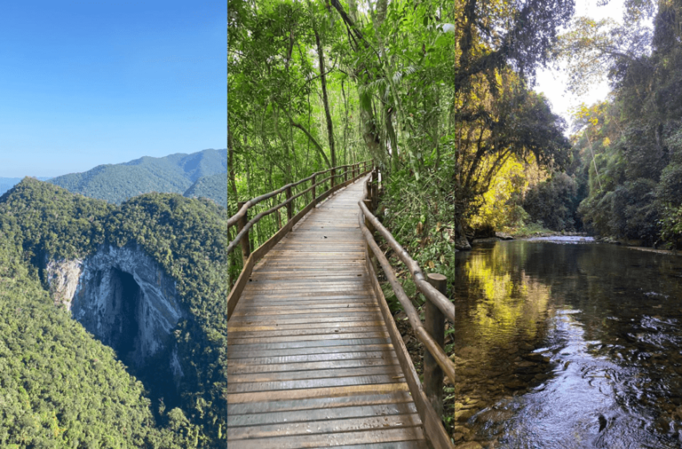 Vale do Ribeira destacando a densa Mata Atlântica e a biodiversidade, com rios serpenteantes e vastas áreas verdes, cavernas.