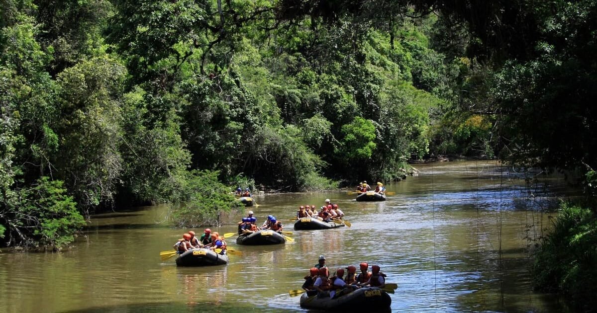 O que Fazer em Juquitiba: Um refúgio Natural Perto de São Paulo » Turismo  de Natureza