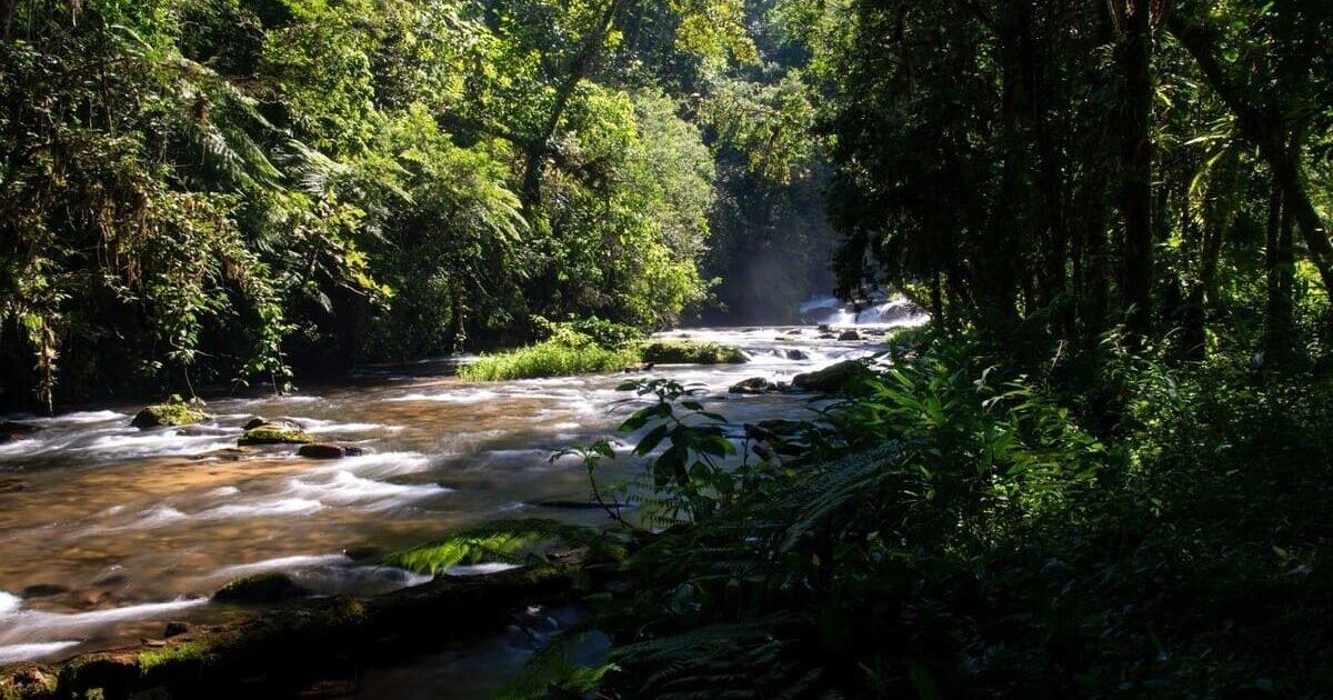 Vista deslumbrante de um rio exuberante de Miracatu, rodeada por densa vegetação da Mata Atlântica.