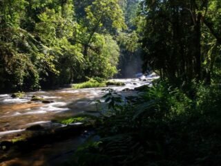 Vista deslumbrante de um rio exuberante de Miracatu, rodeada por densa vegetação da Mata Atlântica.