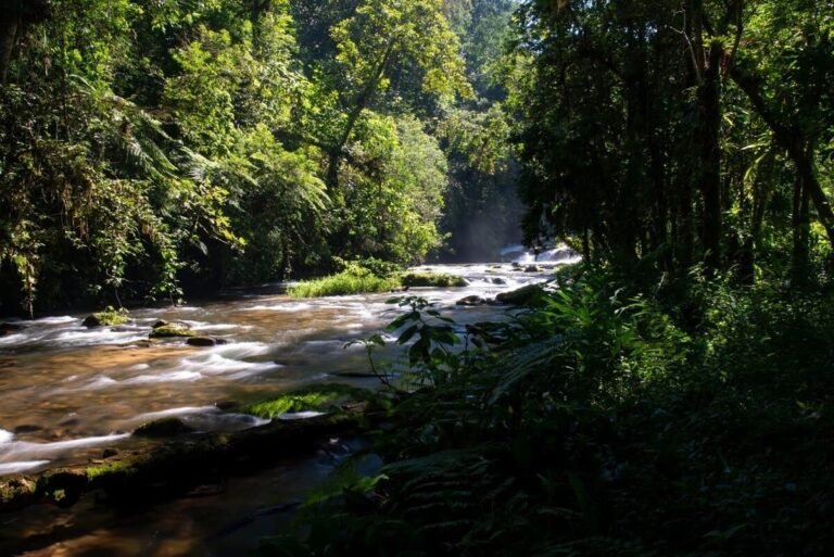 Vista deslumbrante de um rio exuberante de Miracatu, rodeada por densa vegetação da Mata Atlântica.