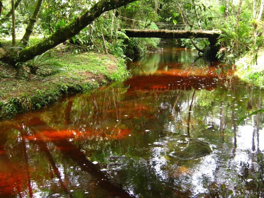 O que fazer em São Miguel Arcanjo em São Paulo. Turismo de Natureza, Rural e Religioso.