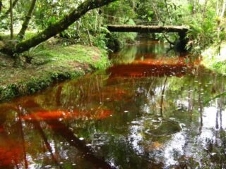 O que fazer em São Miguel Arcanjo em São Paulo. Turismo de Natureza, Rural e Religioso.