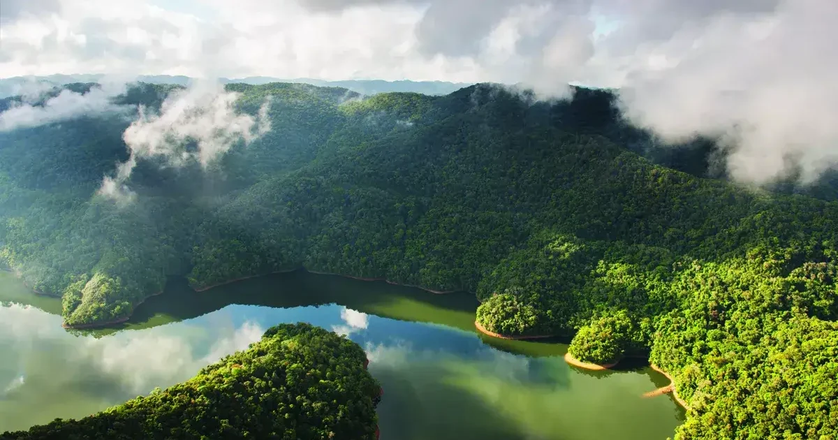 Parque Estadual do Jurupará: A biodiversidade do Parque Estadual do Jurupará, um santuário natural na região sudeste de São Paulo.