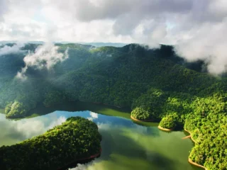 Parque Estadual do Jurupará: A biodiversidade do Parque Estadual do Jurupará, um santuário natural na região sudeste de São Paulo.