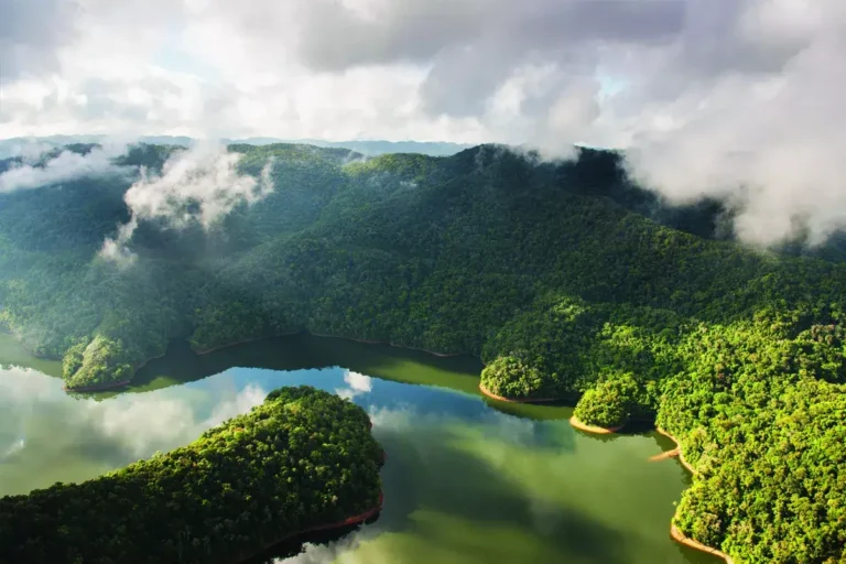 Parque Estadual do Jurupará: A biodiversidade do Parque Estadual do Jurupará, um santuário natural na região sudeste de São Paulo.