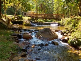 Vista panorâmica das exuberantes florestas de Mata Atlântica em Sete Barras, destacando trilhas e áreas de ecoturismo.