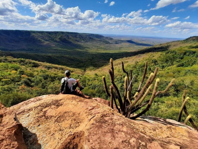 O que fazer em Portalegre.