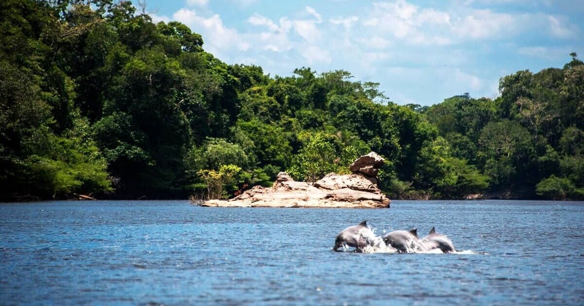 Parque Nacional do Jaú