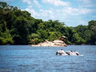 Parque Nacional do Jaú