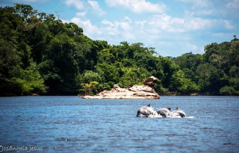 Parque Nacional do Jaú