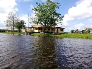 Tartarugalzinho: Turismo de Natureza.