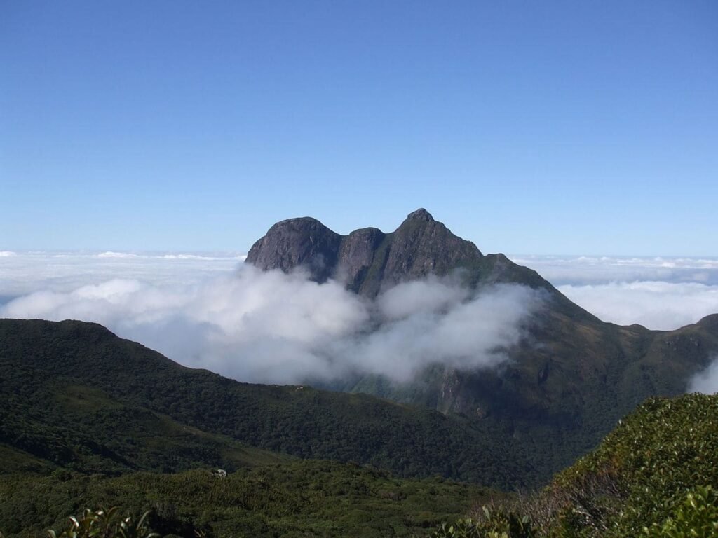 Trilhas do Paraná.