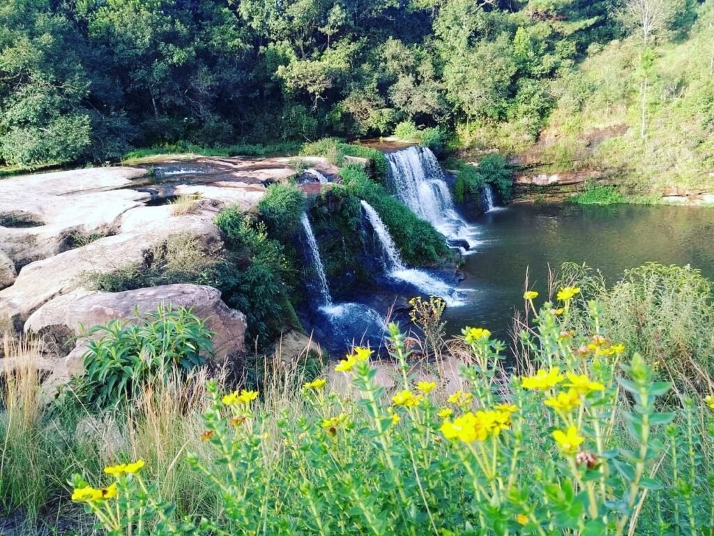 Parque Linear do Rio Capivari.